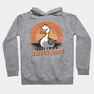 Today I'm A Serious Goose Funny Silly Goose Meme Hoodie